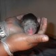 First picture taken when born 9/11/2010 at 5:43pm